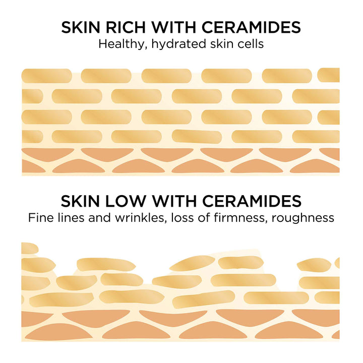 Comparison of skin with and without ceramides, showing healthy skin cells and those lacking them.