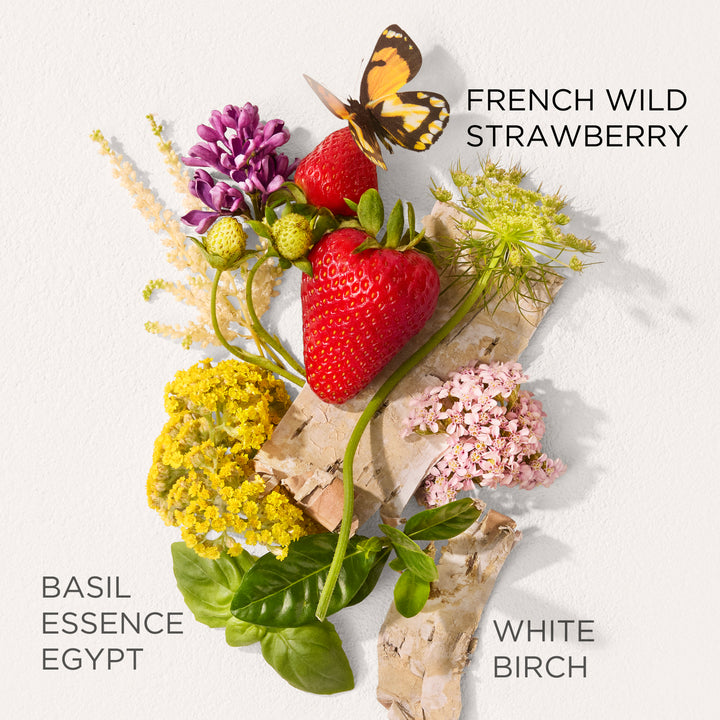 Green Tea Strawberry Basil Eau de Toilette