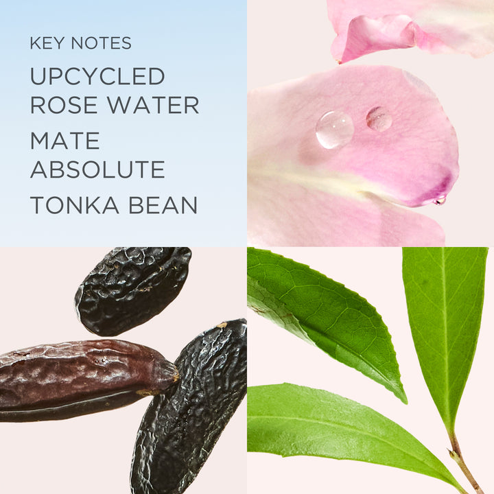 White Tea Eau de Parfum